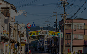 入门简单